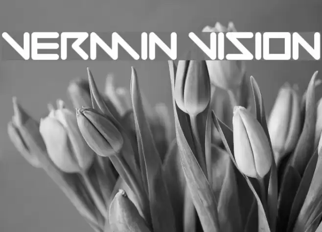 Vermin Vision Font examples