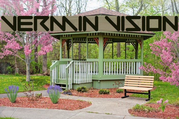 Vermin Vision Example 3