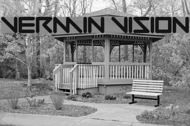 Vermin Vision Font examples