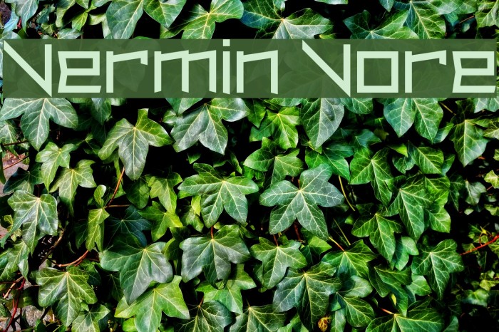 Vermin Vore Font examples