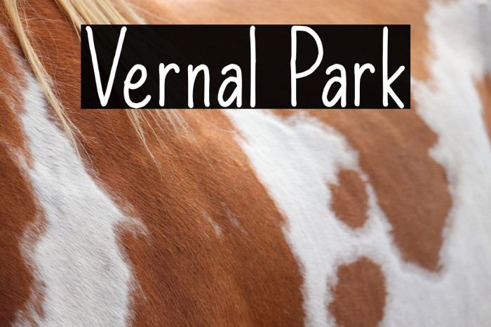 Vernal Park Font examples