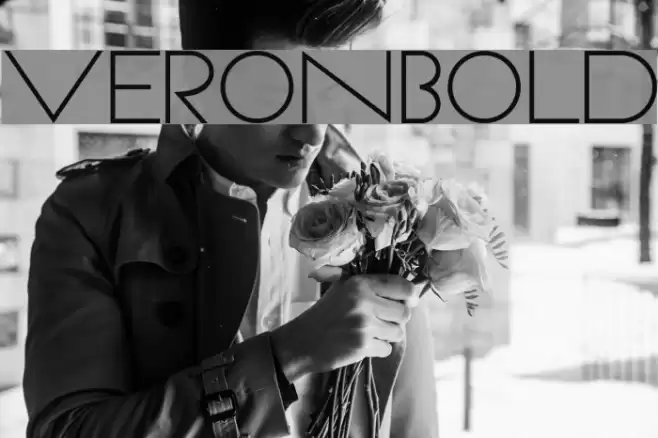 VeronBold Font examples