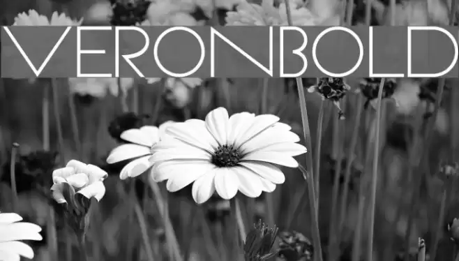 VeronBold Font examples