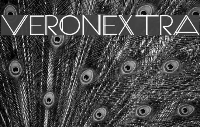 VeronExtra Font examples