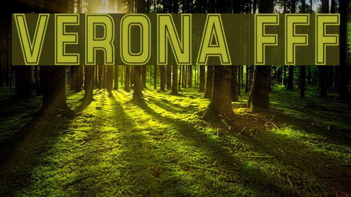 Verona FFF Font examples