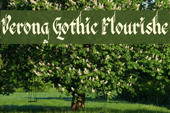 Verona Gothic Flourishe Font examples