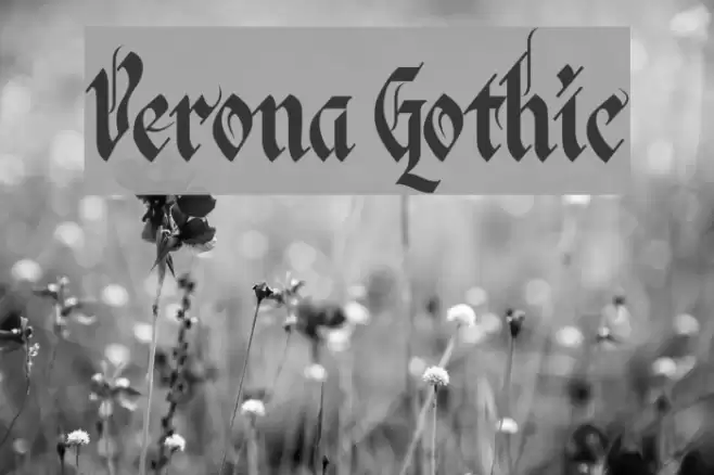 Verona Gothic Font examples
