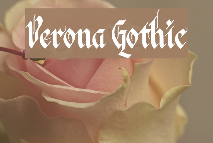 Verona Gothic Example 2