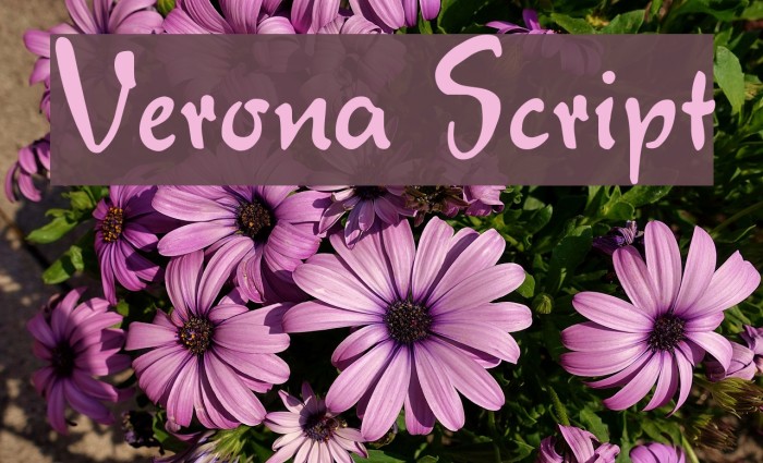 Verona Script Caratteri examples