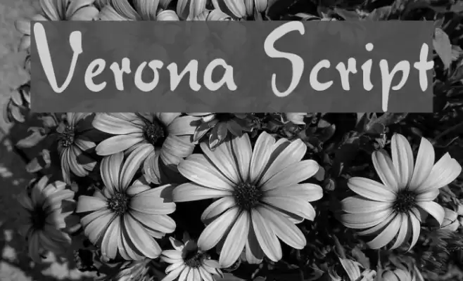 Verona Script Caratteri examples