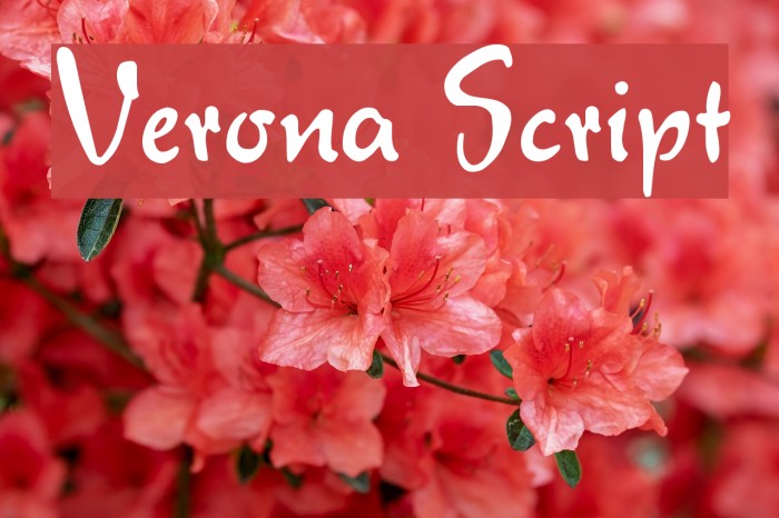 Verona Script Caratteri examples