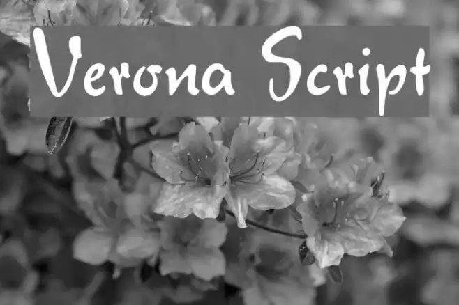 Verona Script Caratteri examples
