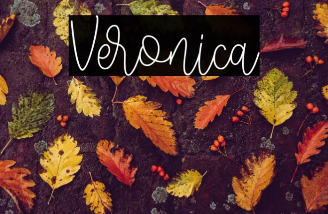 Veronica Example 3