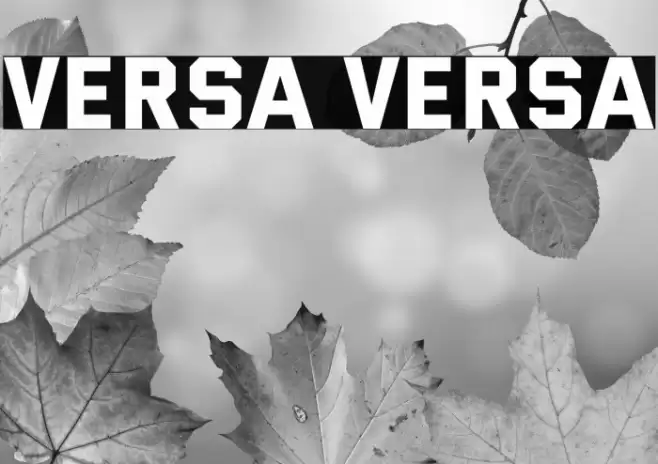 Versa Versa Fonte examples