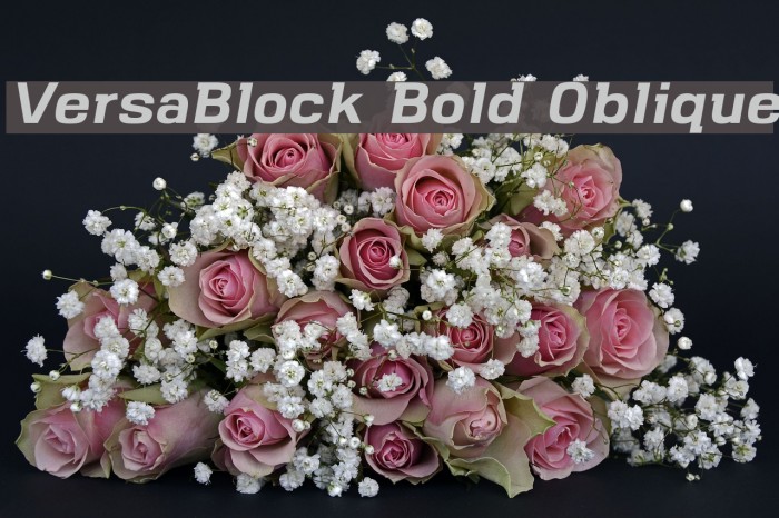 VersaBlock Bold Oblique Font examples