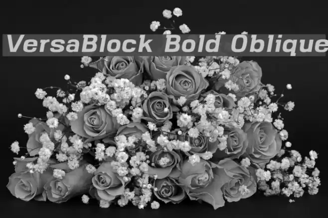 VersaBlock Bold Oblique Font examples