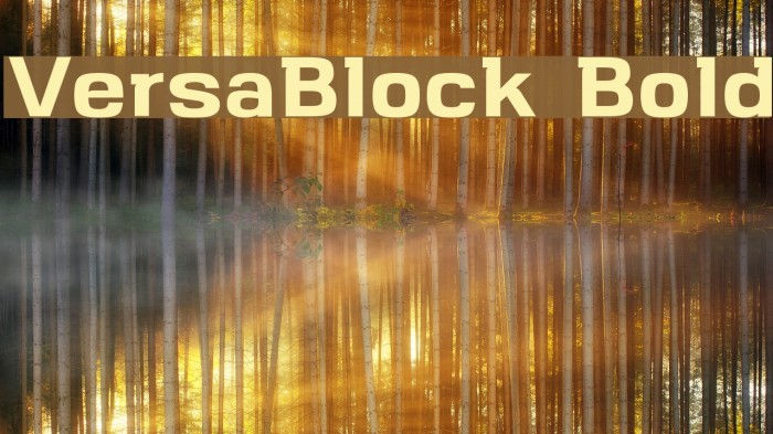 VersaBlock Bold Font examples