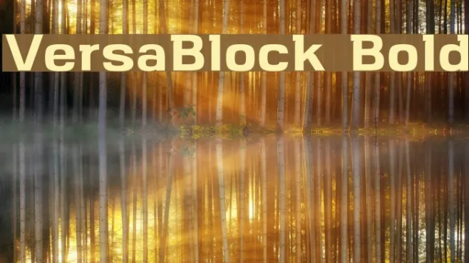 VersaBlock Bold Example 2