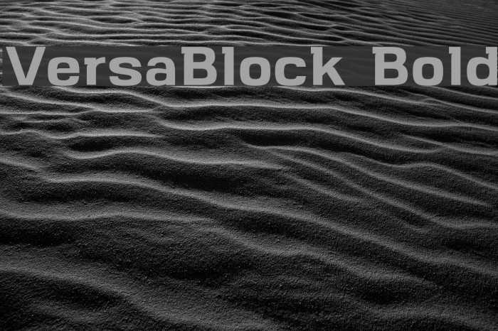 VersaBlock Bold Font examples