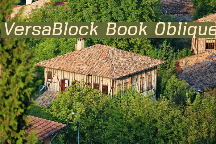 VersaBlock Book Oblique Font examples