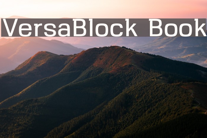 VersaBlock Book Font examples