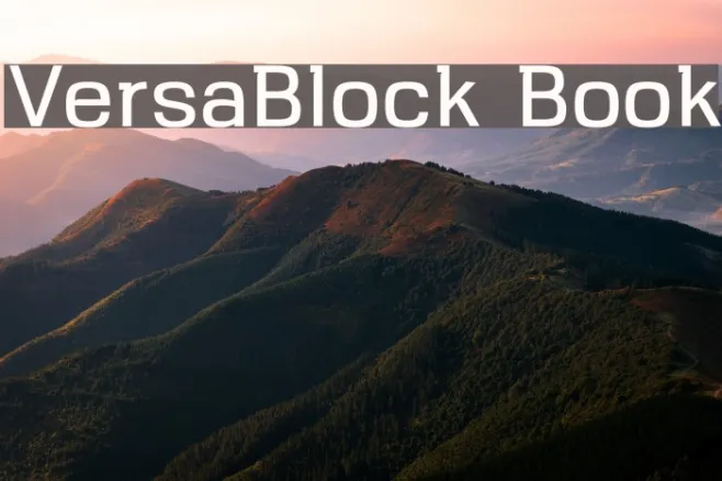 VersaBlock Book Example 2