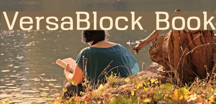 VersaBlock Book Font examples