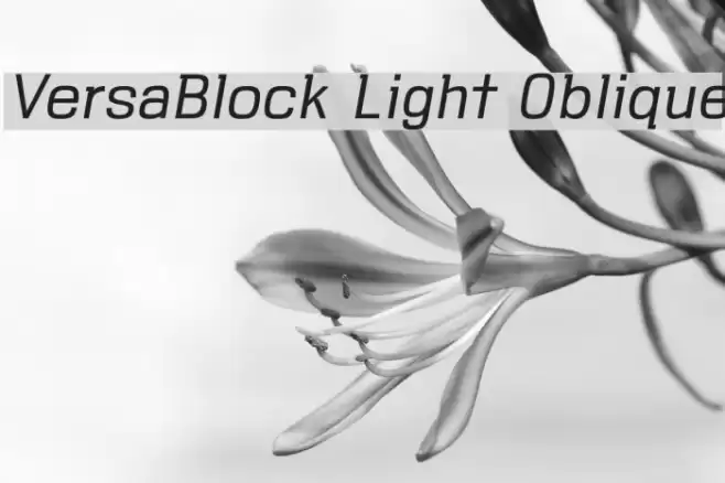 VersaBlock Light Oblique Font examples
