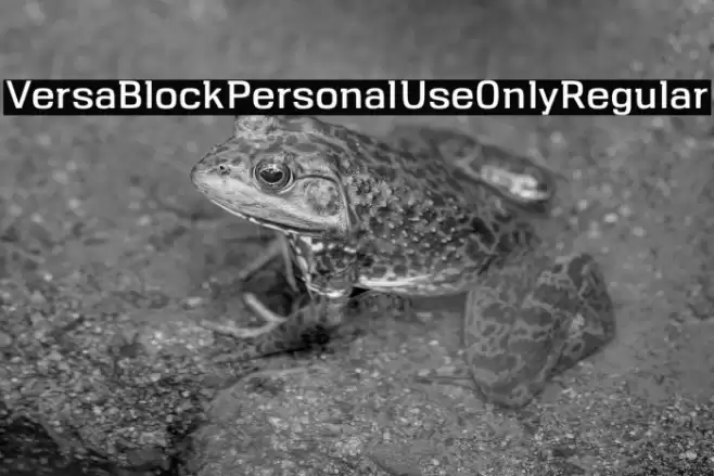 VersaBlock-Personal-Use-Only-Regular Font examples