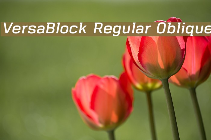 VersaBlock Regular Oblique Font examples
