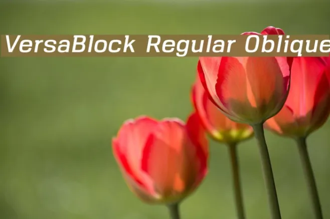 VersaBlock Regular Oblique Example 2