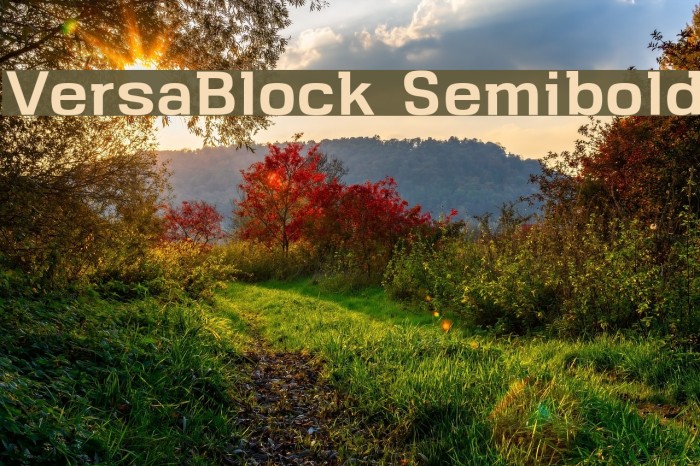 VersaBlock Semibold Example 2