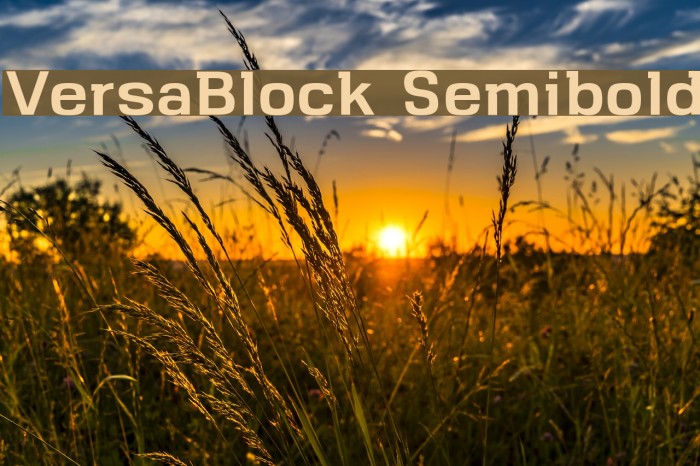 VersaBlock Semibold Example 3