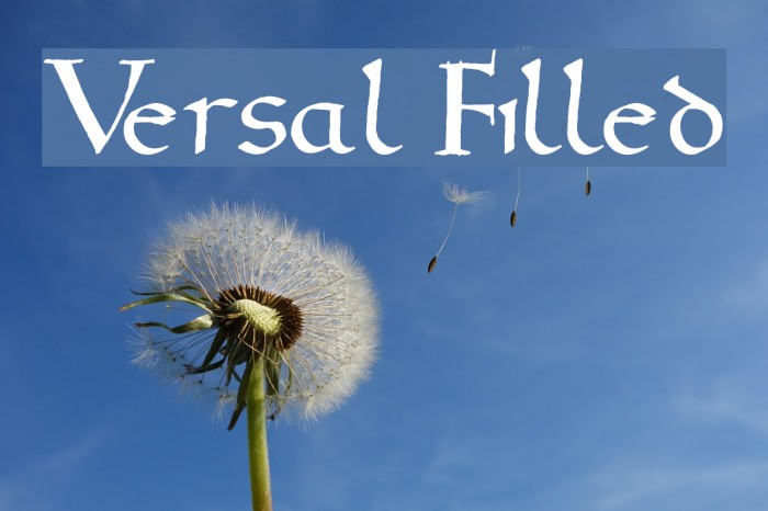 Versal Filled Example 3