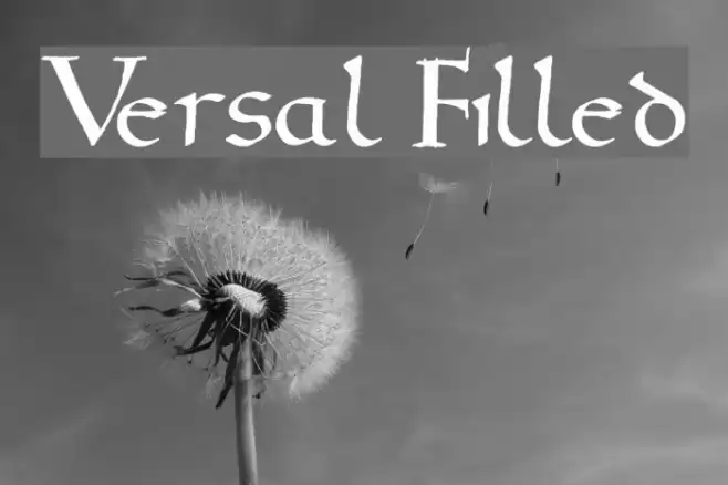 Versal Filled Font examples