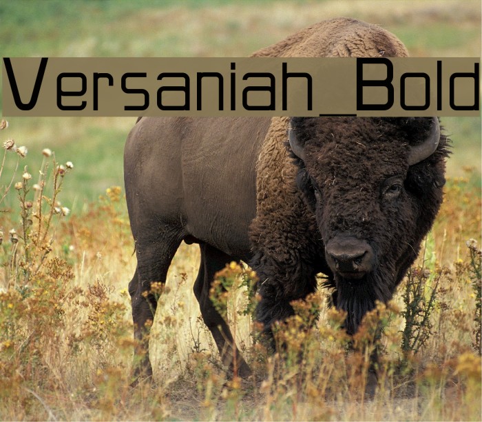 Versaniah_Bold Font examples
