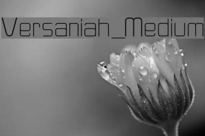 Versaniah_Medium Font examples