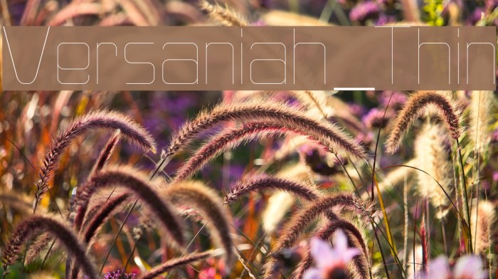 Versaniah_Thin Font examples