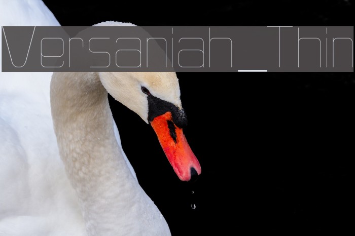 Versaniah_Thin Font examples