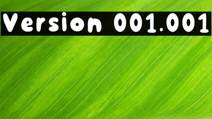 Version 001.001 Example 2