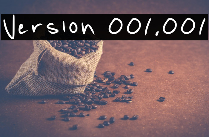 Version 001.001 Example 1