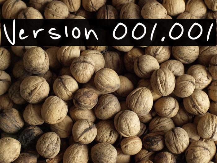 Version 001.001 Example 3