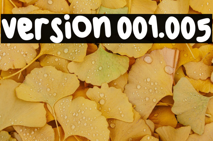 Version 001.005 Example 1