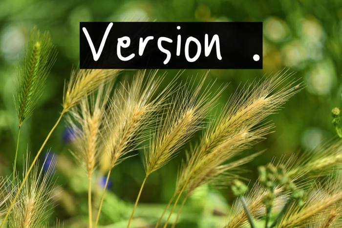 Version 001.014 Example 2