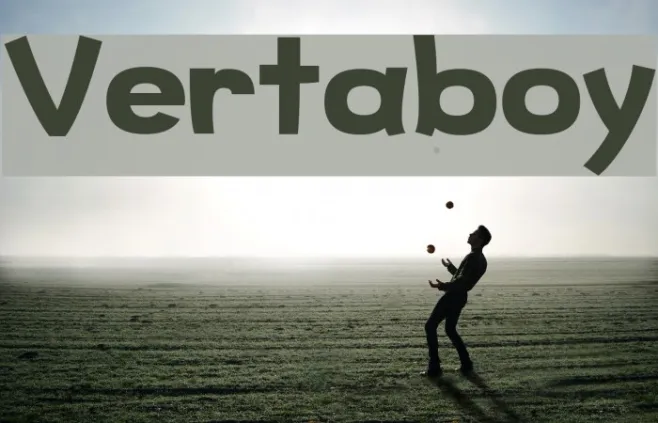 Vertaboy Example 2