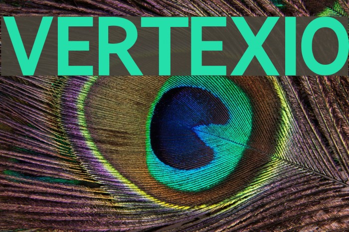 Vertexio Font examples