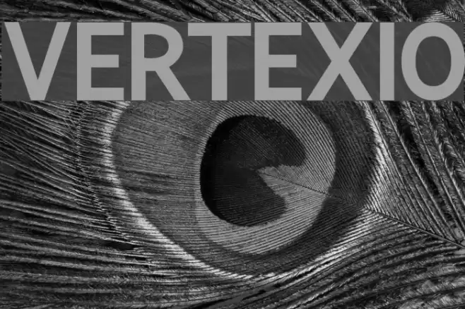 Vertexio Fonte examples