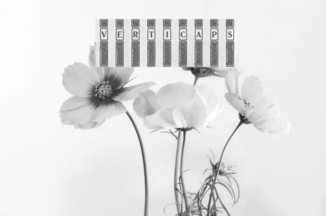VertiCaps Font examples