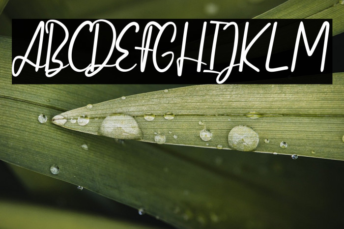 Vertica Scripts 2 Example 3