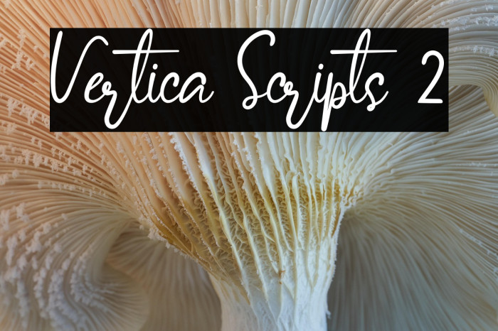 Vertica Scripts 2 Example 1